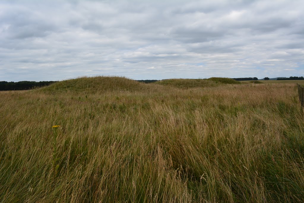 2014-07-15 Cursus Barrows Stonehenge Landscape by Mummervideo