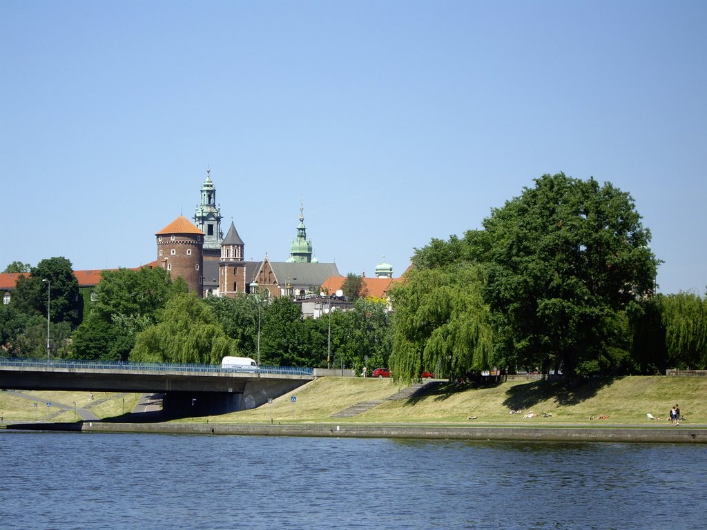 View to Wawel Royal Castle by colin_more