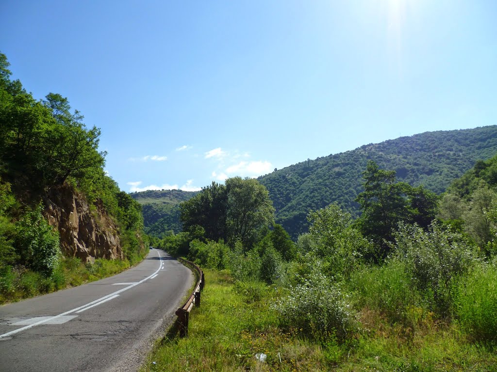 Road to Kalimantsi Lake by Panocas