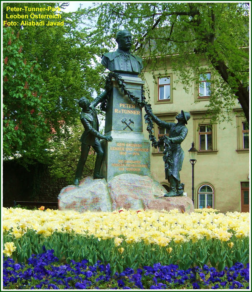 Foto: Aliabadi Javad - Peter-Tunner-Park Leoben - Österreich by Aliabadi Javad (Tajmah)