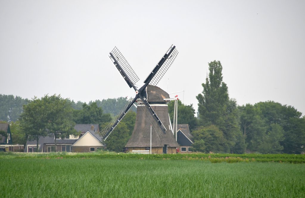 Grote molen by René Speur