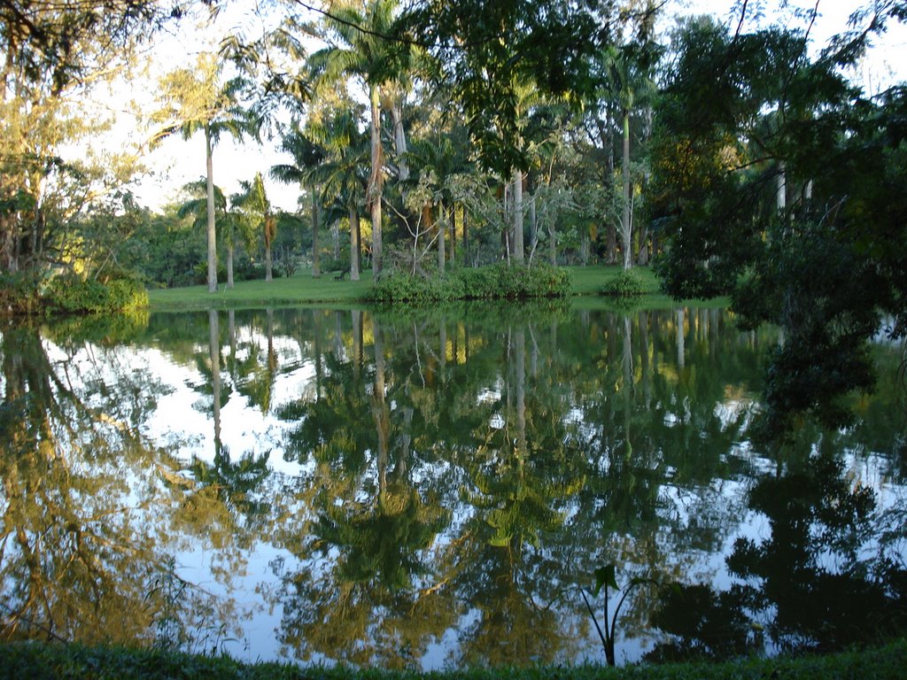 Lago do Parque da Cidade, região Norte by Sarita.Santos