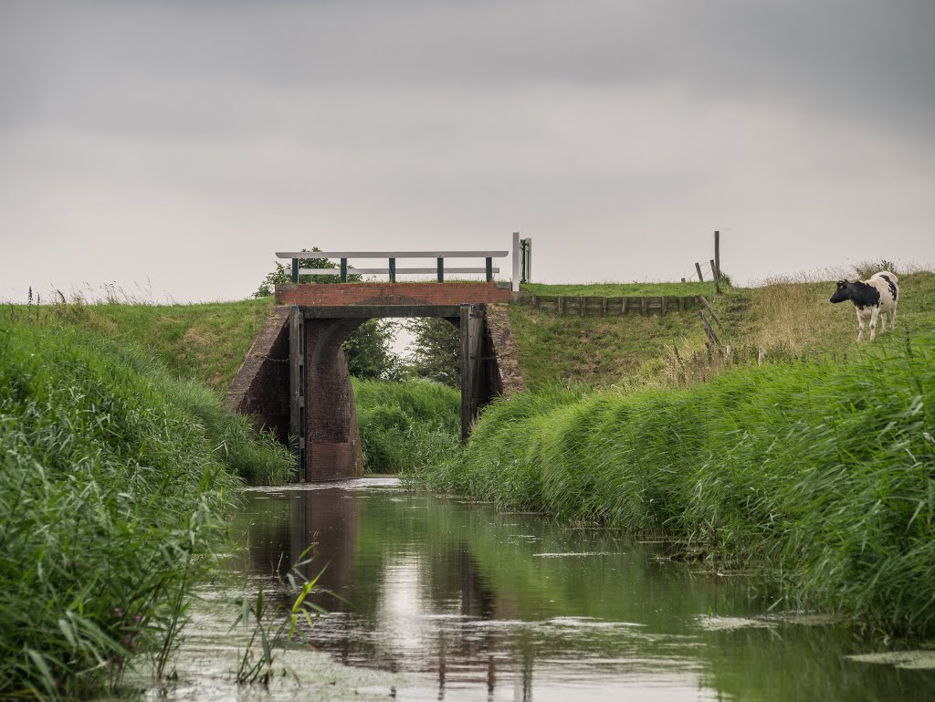 De 'Klief' in de Warffumermaar (BB) by Bayke de Vries