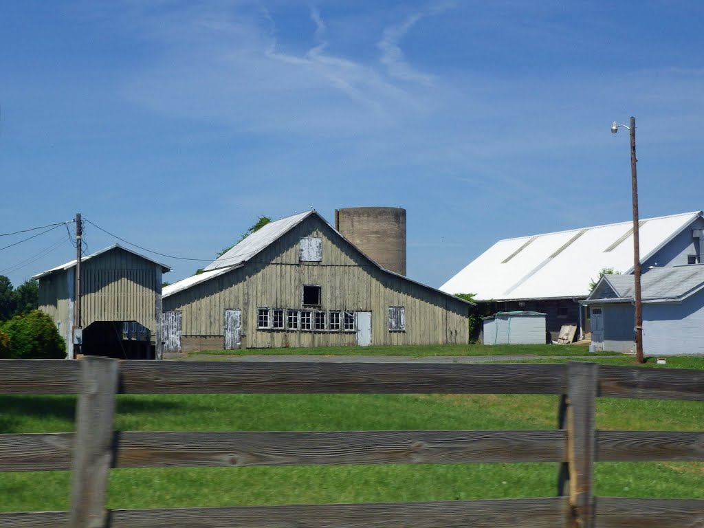 Barn & Outbuildings, Courtland, VA by Dan R. Mills