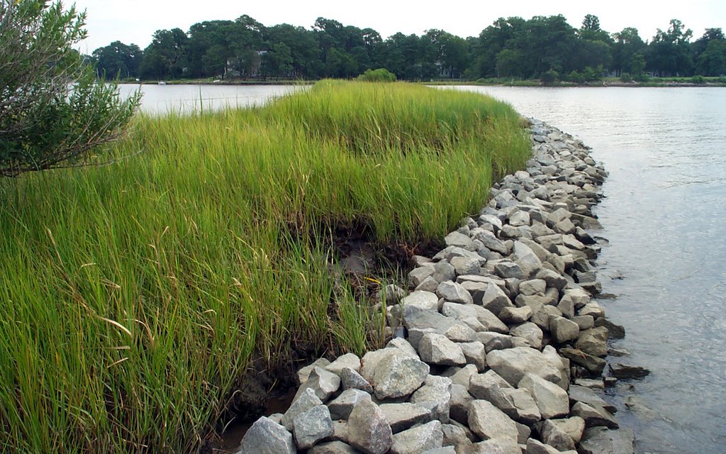 Tidal Wetlands in Crab Creek by SirFin