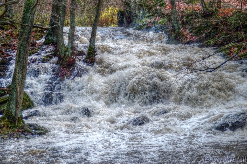 Viel Regen war im Harz by ☼❄ bergkristall ❆☼