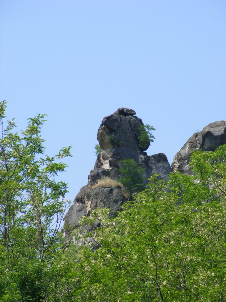 Sirok, Alsósirok városrész, 3332 Hungary by Tóthné Magdi