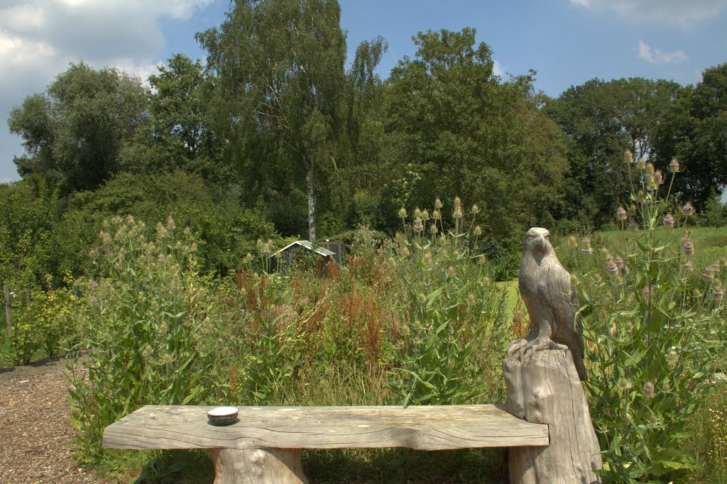 De kaardebollen bloeien bijna op de Brasica tuin in Schalkwijk, zeker een bezoek waard. by watersnip