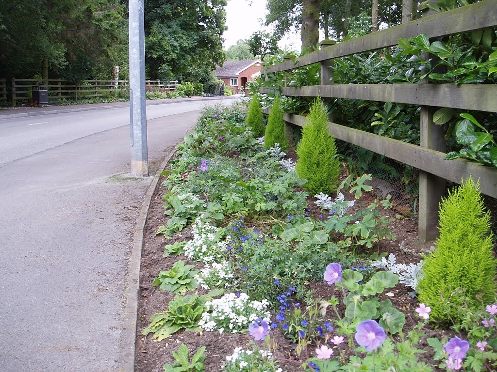 Spindlewood Planting Elloughton 2014 by mel54