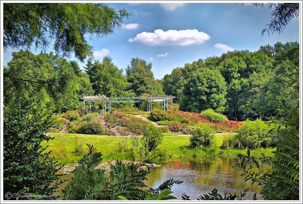 Blick über den Teich zum Rosarium by Reiner Spangemacher