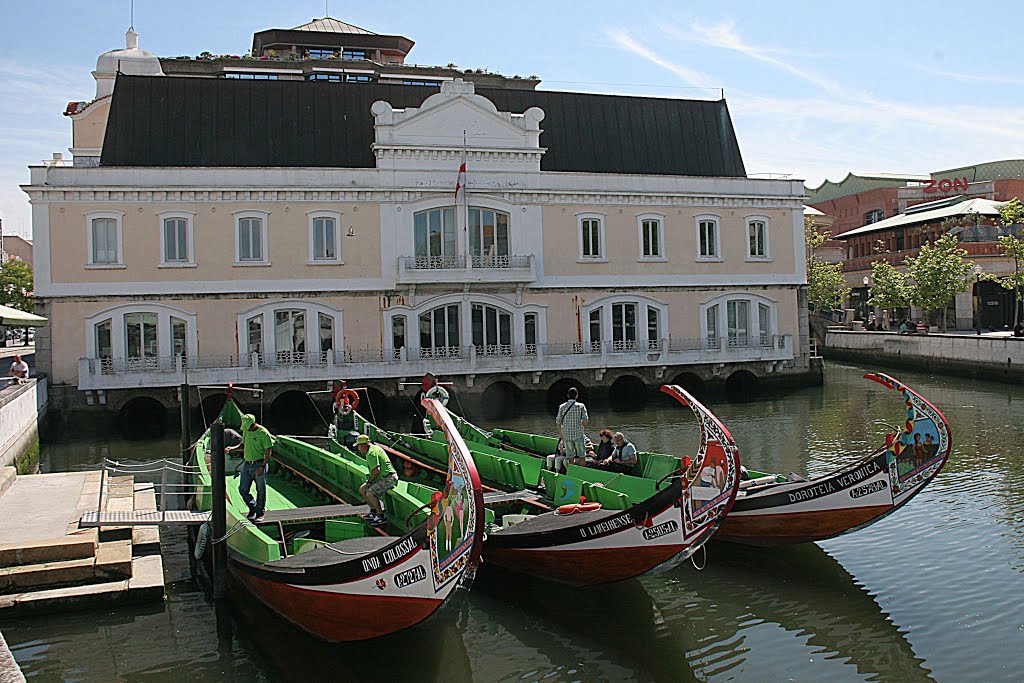 Aveiro - Antiga Capitania by Filipunes