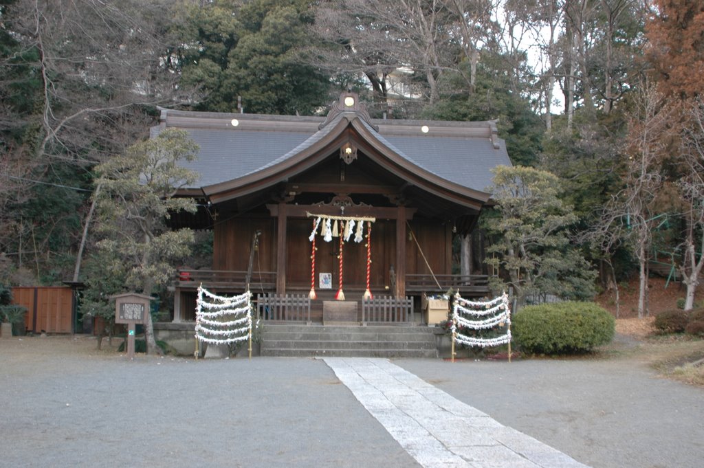 武州白子熊野神社 by tetsu.naka