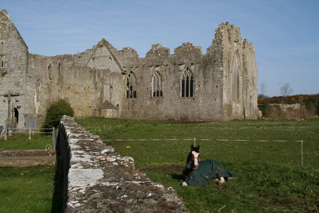 Askeaton Abbey 001 by Steven Queen