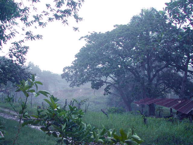 Dia de Lluvia (Rainy Day by Jose Raphael Fernandez