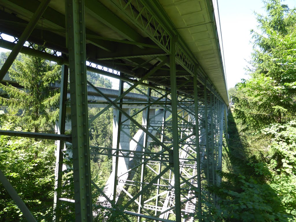 Strassenbrücke über die Schwarzwasser by bienenritter