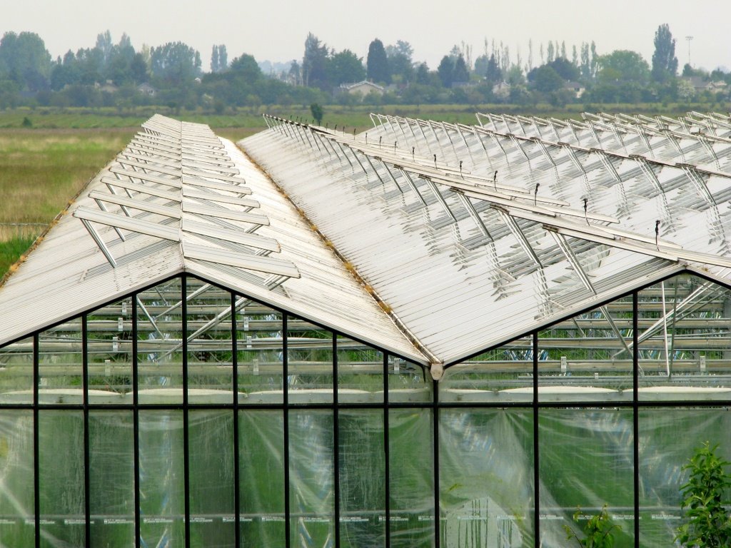 Greenhouse roof (portion of) by Nawitka