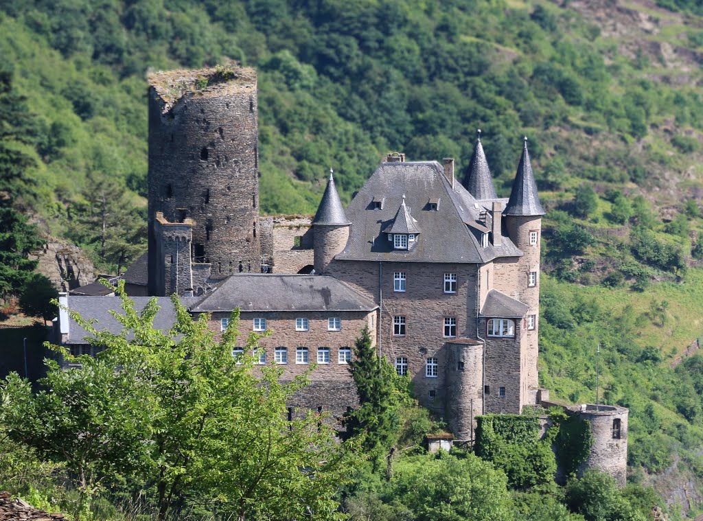 Burg Katz by Achim Reeh