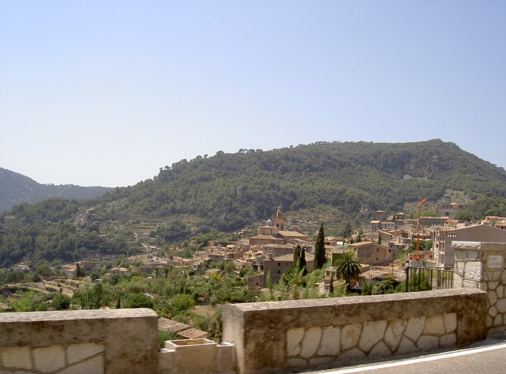 Valldemossa by Binnie