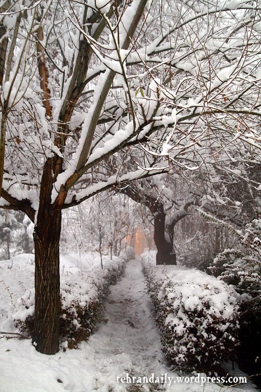 Tehran-Heavy Snow in Golestan Town by amirpix