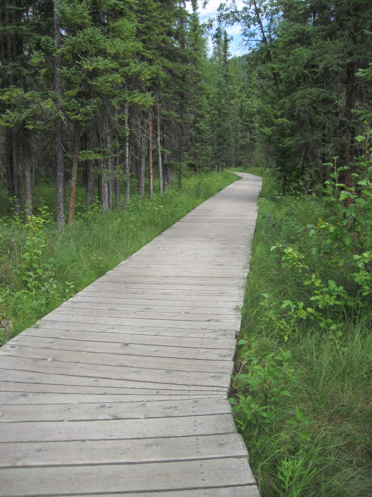 Liard River Hotsprings 2012 by SteveBC2013