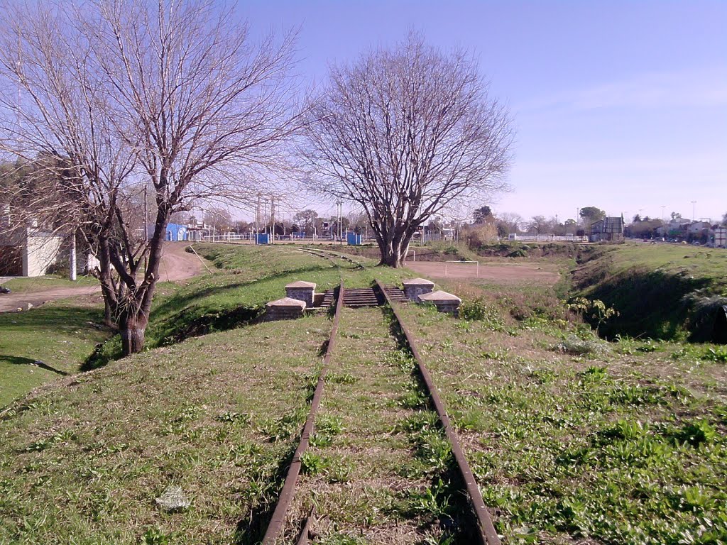 Ramal P del Ferrocarril General Belgrano, vías hacia Ángel Etcheverry by Ariel Sebastián Becker