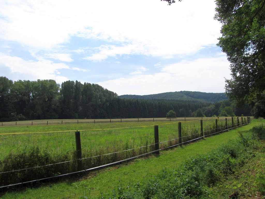 Feldweg am Rande des Teutos by Stefan Flügelmann