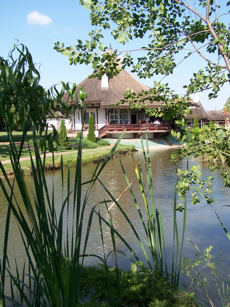 Around the Pond 4, Salaš 84, Kać, Serbia by Miša M.