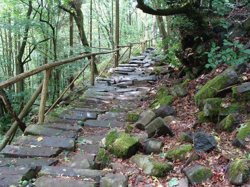 Oberelsbach Wanderweg aus Basaltsäulen am Gangolfsberg by Contessa