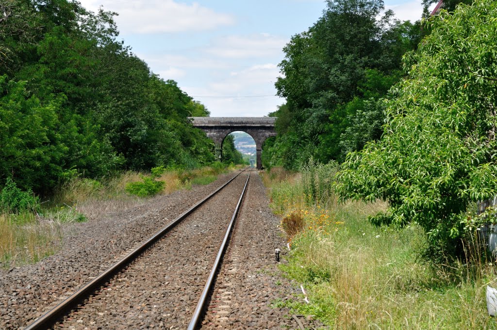 Ligne de Saint-Germain-des-Fossés à Nîmes-Courbessac by Tireman.