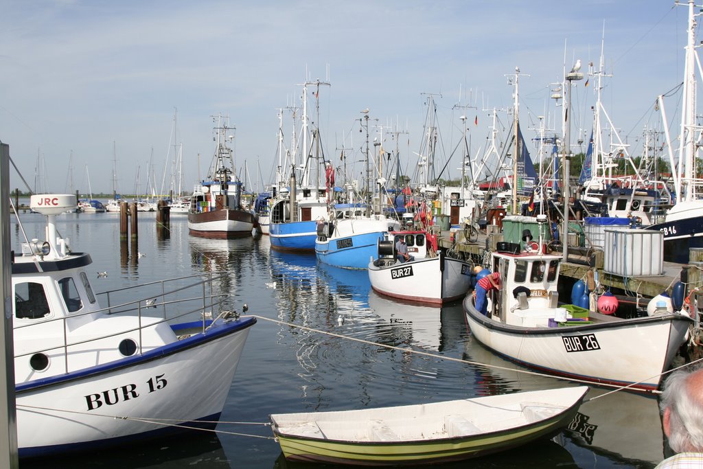 Burgstaaken, Hafen by Frank Mandau