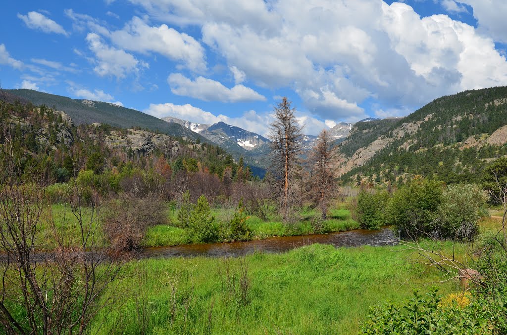 Rocky Mountain National Park by RAllen