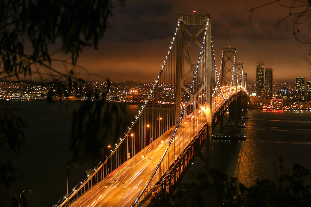 San Francisco Bay Bridge at Night From Yerba Buena Island, California by davidcmc58