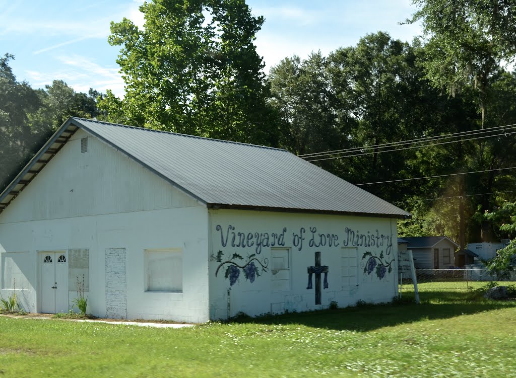 Vineyard of Love Ministery by Buddy Rogers