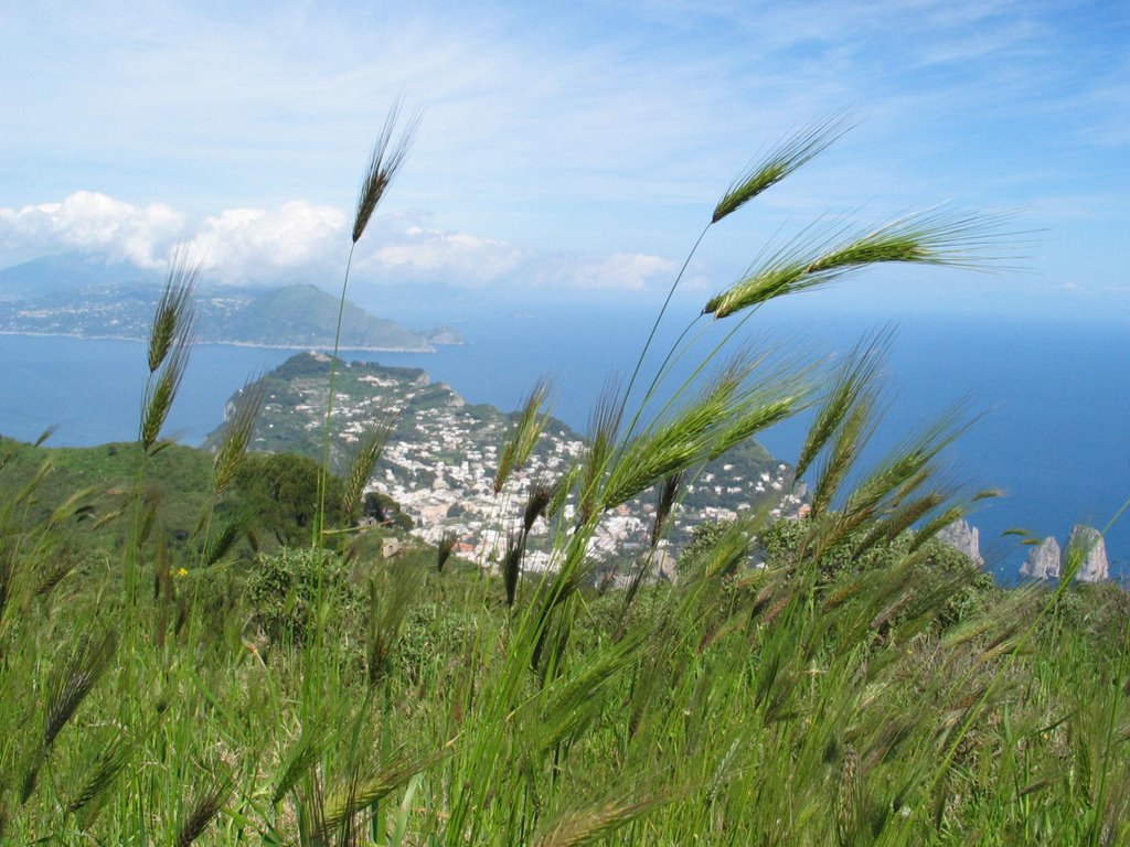 Sorrento viewed from Capri by shepster