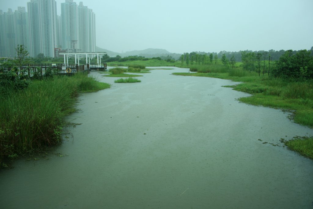 香港濕地公園 Hong Kong Wetland Park by Stanley NG