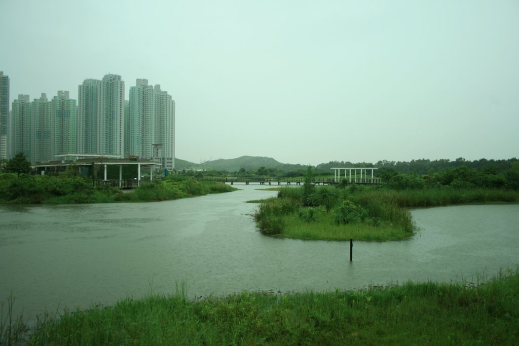 香港濕地公園 Hong Kong Wetland Park by Stanley NG