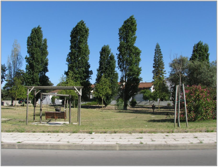 Avenida D. Afonso Henriques - Paço dos Amores de Pedro e Inês by Barragon