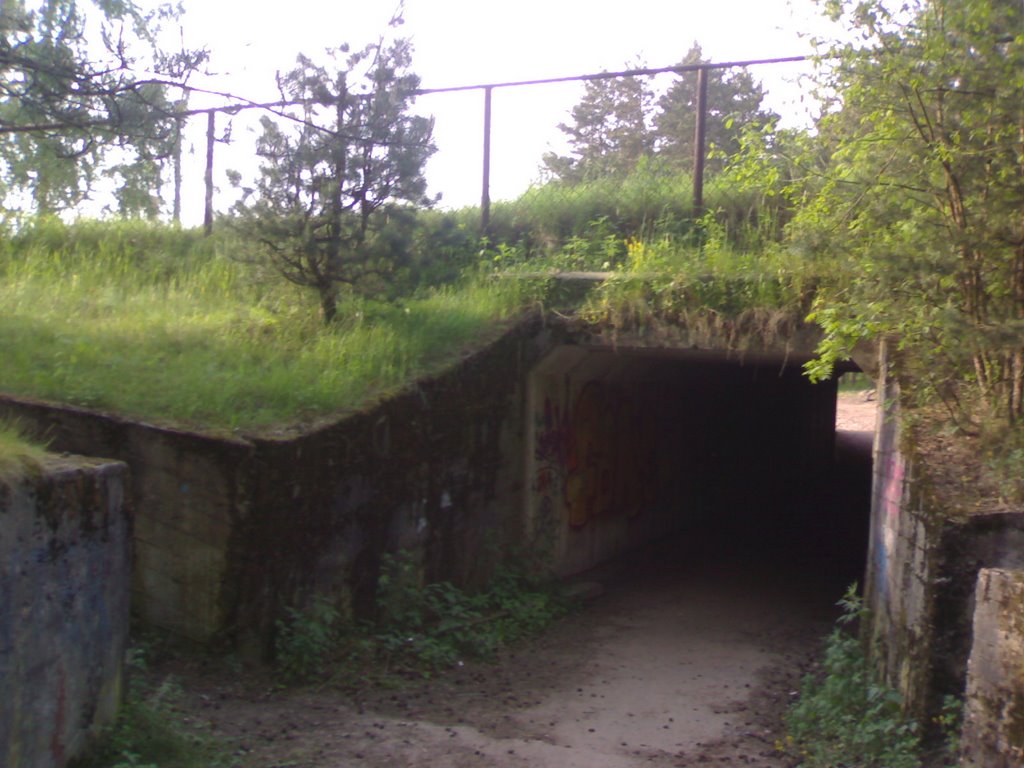 Way under Bikernieku race track by cat99