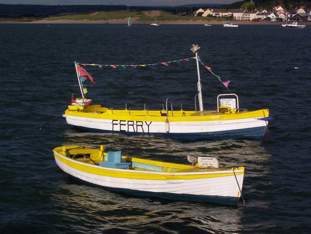 Passenger ferry at Appledore , Devon. by Tony Stafford