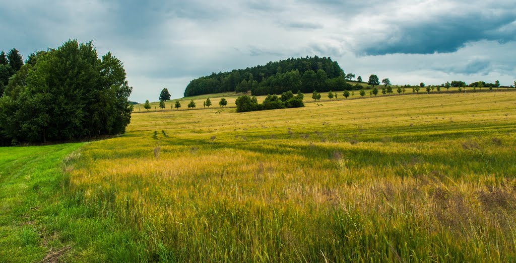 Color fields of Swiss Saxony.... by Krzysio Milewicz