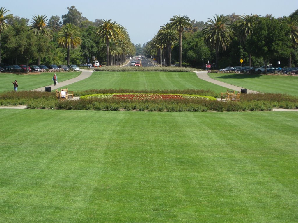 Stanford, CA, USA by Pierre-Yves ANDRIET