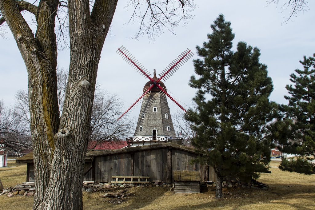 Elk Horn Windmill and Viking House by Robelar