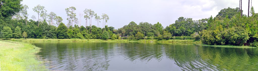 2014 07-20 Sanford, Florida - fountain and pond by Qwilleran