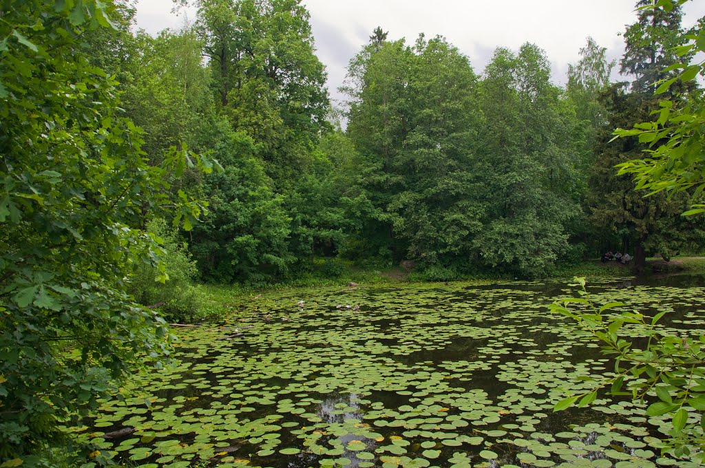 Санкт-Петербург. Шуваловский парк / St. Petersburg. Shuvalovsky Park by Ann78