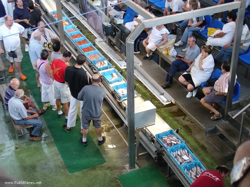 Blanes. Puerto Lonja del pescado by JoseWEB