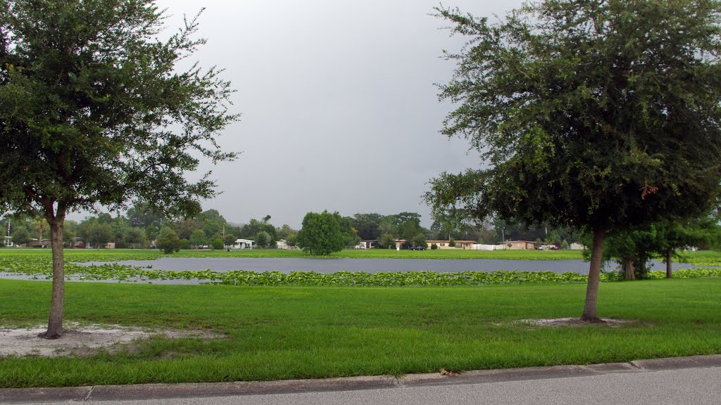 2014 07-16 Sanford, Fl - Lake Dot Park by Qwilleran