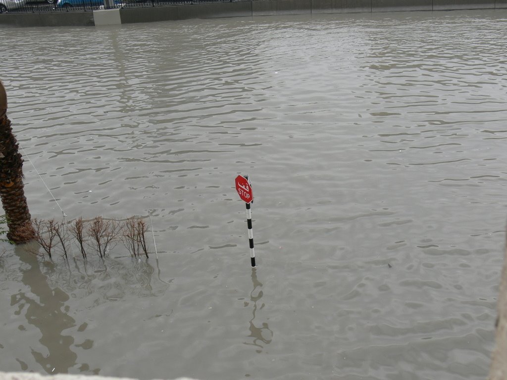 Flood sharjah by Raghunathan Pangath