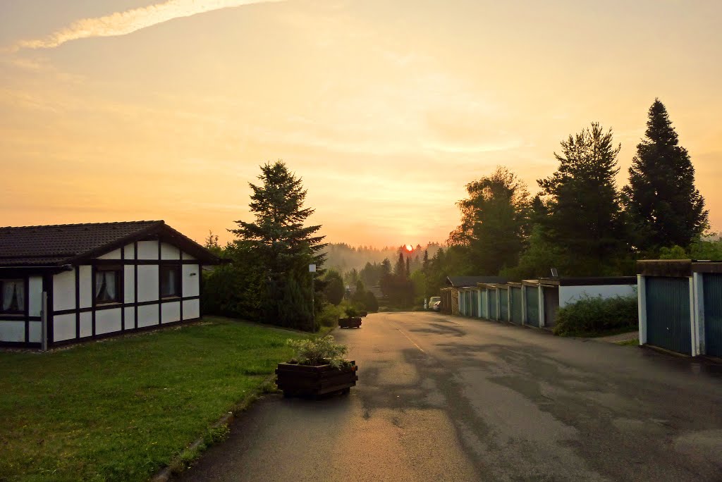 Ein sonniger Tag erwacht, nach einer regnerischen Nacht by oertelw