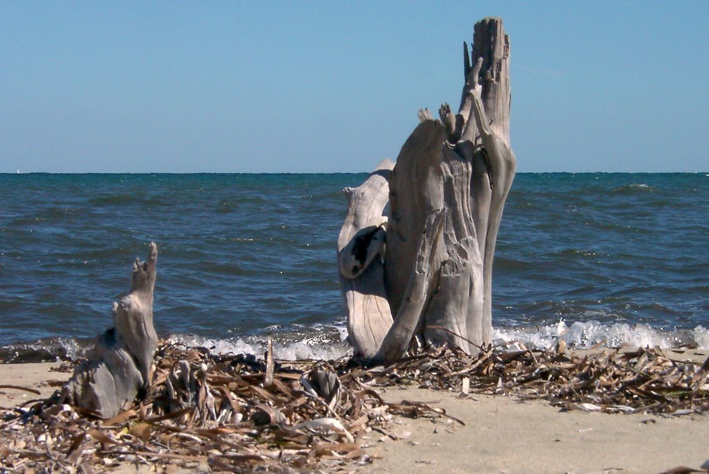 Hommage à la Corse et Elbe - Mise en scène par la nature ! by Faivre Thierry