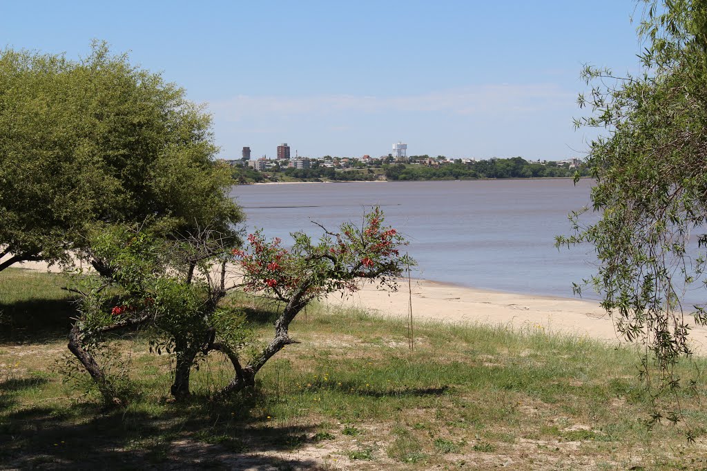 Vista da praia e da cidade de Colônia by Carlos A Machado